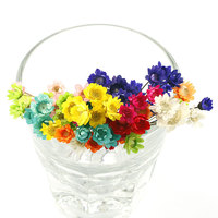 Fleur de Gypsophile Séchée en Gros, Faite à la Main, Longue Durée (3-5 Ans), pour Table de Pâques