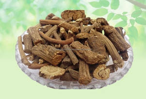 Operculina Turpethum Turpeeth negro seco Nishoth Kali raíz Trivrit Turbud negro Turbad hierbas crudas secas extracto de plantas al por mayor - Product Image 2