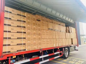 Climatiseur Solaire Split de 0,75 CV Chaud et Froid Pré-rempli avec Réfrigérant R32 Climatiseur Inverter - Product Image 6