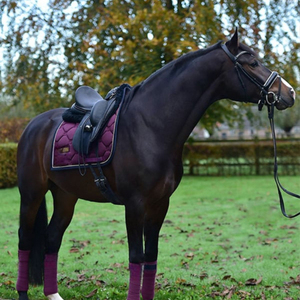 Durable Elastic Neoprene Adjustable Horse <b>Hoof</b> Boots for Training and Injury Recovery-Solid Color - Product Image 4