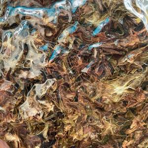 NUEVO PRODUCTO 2026 Deliciosas Rodajas de Carambola Tropical Seca, Naturalmente Ácida, Paquete Minorista OEM - Product Image 4