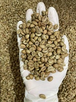 Café Vert du Vietnam ROBUSTA Poli à Humide S16/18 Récolte 25-26 en Gia Lai - Norme Internationale, Prix Compétitif