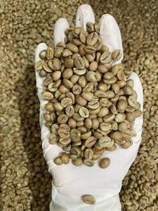 [Café DHPONE] Granos de Café Robusta Verde, Proceso Honey S16, Café Especial Gia Lai Vietnam, Grado A+, 60 kg/Bolsa de Yute - Product Image 1