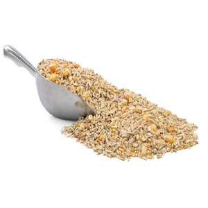 Alimento de maíz de alta calidad para pollos para el mercado asiático - Product Image 6