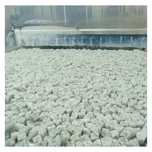 Fruta del Dragón Blanca Congelada IQF, elaborada con cubos de fruta del dragón de primera calidad para batidos, helados y postres, origen Vietnam - Product Image 6