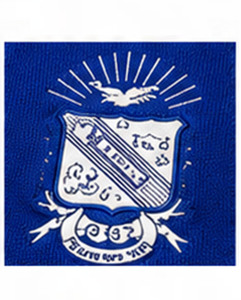 Custom Zeta Phi Beta Winter Hooded <b>Cardigan</b> <b>Men's</b> <b>Long</b> Sleeve Embroidered Letter Pattern Casual Polyester Knitted Sweater Button - Product Image 6