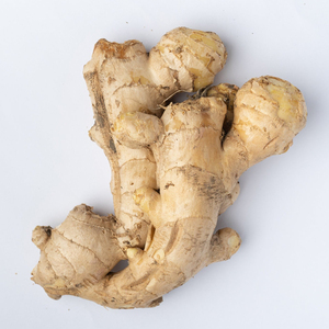 Gingembre frais de haute qualité / Exportateur de gingembre - Product Image 3