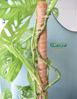 Poteau en fibre de coco flexible |   Support de plante en fibre de coco pliable avec noyau métallique |   Pour les Monstera, les Philodendron et les plantes grimpantes