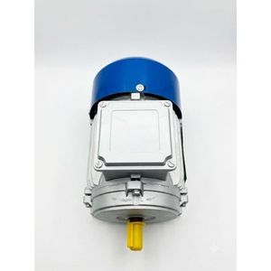 Motor de Inducción de CA de 0.5 HP, 0.37KW, 2880 RPM, 2 Polos, 3 Fases, Montaje a Pedestal, 220V, 50/60Hz - Product Image 4
