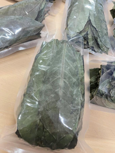 Premium Dried Soursop Leaves Natural Graviola Herbal <b>Tea</b> Whole Leaves Factory Direct Wholesale Supply - Product Image 4