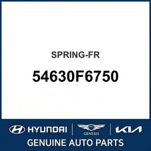 Cadenza New Leaf & Coil Springs 54630F6750 - Product Image 1
