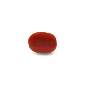 Natural Red Coral Oval Cabochon Loose Gemstone 9.9 Carat Certified Wholesale - Product Image 2