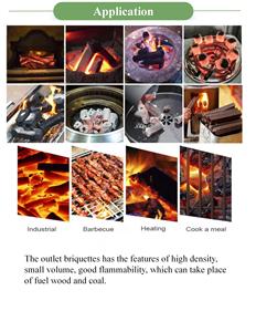 Machine automatique de fabrication de charbon de bois en plastique pour la vente en gros - Product Image 6