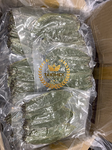Thé aux feuilles de corossol en marque privée, sans OGM, en sachet sous vide de 100 grammes, très haute qualité, fabriqué au Vietnam - Product Image 4