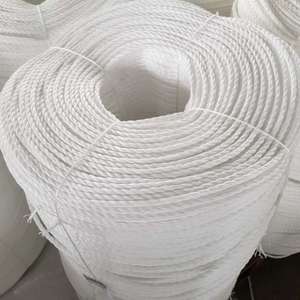 PP Danline Rope Vietnam Factory, Corde en polypropylène 8mm résistant aux UV, Corde de pêche en gros PP 3 brins 6mm 10mm 12mm - Product Image 6
