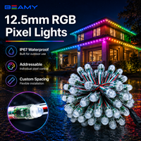 Guirlandes lumineuses LED intelligentes à pixels RGB de 12 mm, adressables, WS2811, étanches IP67, pour l'extérieur, Noël et événements