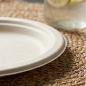 10 Inch Round Bagasse Dinner Plate Compostable Disposable Sugarcane Fiber Tableware for Restaurants Catering Parties and Daily D - Product Image 1