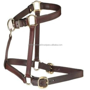 Nouveauté 2024 : Licol pour cheval en cuir naturel fait main avec accessoires et quincaillerie en laiton solides et réglables - Product Image 3