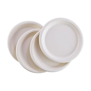 Platos Desechables con Logotipo Personalizado, Pakistán, OEM, ODM, Alta Calidad, Ligeros, Venta al por Mayor - Product Image 2