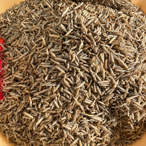 BSFL Seco del Delta de Vietnam para Alimentación de Aves de Corral |   35-45% de proteína, 5-8% de fibra |   Nutrición Natural para Insectos de Vietnam |   Sra. Alina - Product Image 1
