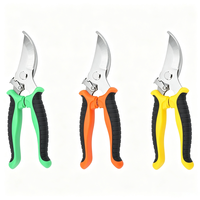 Sécateur de jardin, ciseaux de taille pour arbres fruitiers et arbustes, outils de jardinage