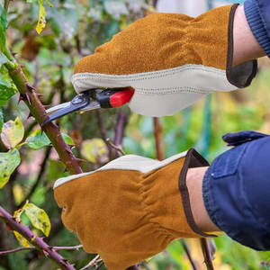 Guantes de Seguridad Resistentes de Fábrica para Hombre, Guantes de Trabajo Industriales de Pakistán, OEM Disponible - Product Image 5