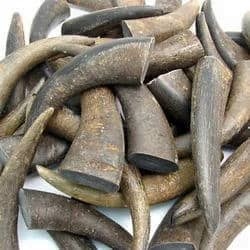 Cuerno de Búfalo Hecho a Mano para Beber, Forma Natural, Material Orgánico Pulido, Vajilla Medieval para Decoración del Hogar - Product Image 3