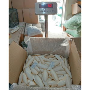 Os de Seiche Séché de Qualité Supérieure, Frit sous Vide, Aliment à Mâcher pour Cage d'Oiseaux (Perroquet, Budgie, Canari, Pinson) - Vente en Gros - Product Image 1