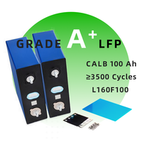 Sel Prisma Lifepo4 CALB 100% Baru Grade A 3.2v 100ah 125ah Baterai Lithium Iron Phosphate Lithium Ion Pabrik