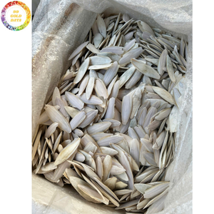 Os de Seiche Séché de Qualité Commerciale, Frit sous Vide, Friandise à Mâcher pour Oiseaux de Compagnie (Perroquet, Canari, Pinson, Budgie) - Vente en Gros - Product Image 4