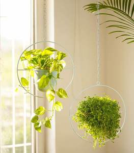 Cadena colgante metálica para macetas, decoración interior, balcón, techo, sala de estar, soporte para plantas botánicas, estilos modernos con acabado color verde azulado. - Product Image 3