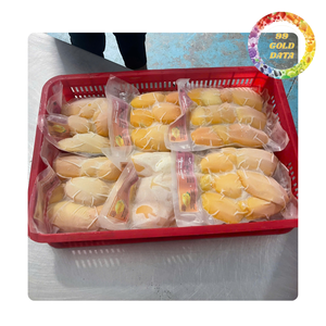 Mango Congelado de Vietnam en Rodajas y Trozos para Servicios de Alimentación y Distribución Minorista - Product Image 3