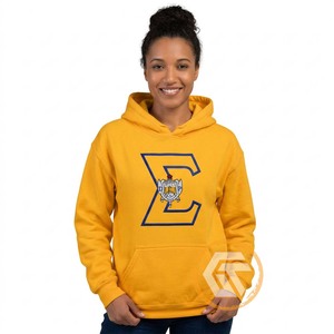 Sweat à capuche personnalisé Sigma Gamma Rho en molleton de coton écologique brodé, idéal pour l'hiver, vêtement grec de haute qualité pour sororité - Product Image 1