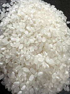 Riz Japonica Calrose Moyen Sain du Vietnam, Nouvelle Récolte Tien Giang, 5% de brisure, Séché, Riche en nutriments, Doublement poli, Doux - Product Image 6
