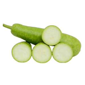 Selected Bottle Gourd Young Green <b>Vegetable</b> <b>Fresh</b> Farm Produce For Bulk Buyers Grocery Stores Restaurants And Food Service - Product Image 2