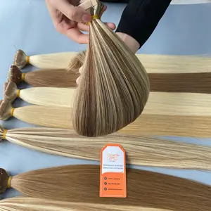 Choix multiples Highlight Tapein Hair Extensions Cheveux vierges vietnamiens bruts Salon de coiffure de meilleure qualité