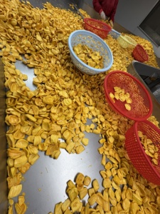โรงงานเวียดนามผลิตโดยตรง ขนมชิ้นขนุนทอดสุญญากาศ ขนมผลไม้ธรรมชาติ รับผลิตแบบ OEM แบรนด์ส่วนตัว ผู้จัดจำหน่ายส่งออก - Product Image 5