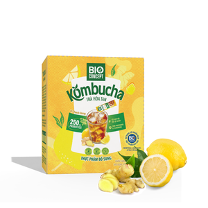 Produit en marque blanche : Boisson Kombucha Citron Gingembre, Boisson instantanée en poudre Citron Gingembre, Emballage de boîtes de thé personnalisées imprimées - Product Image 1