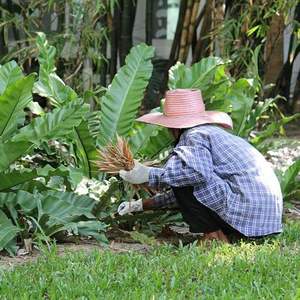 Gants de sécurité en cuir de mouton, cuir de porc et cuir de chèvre, gants de travail protecteurs pour conducteurs avec manchette élastique et dos en coton - Product Image 4