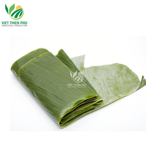 เวียตเธียนฟู่ |   ใบตองแช่แข็งพรีเมียม ตัดเป็นชิ้น สะอาด ผู้จัดจำหน่ายจากเวียดนาม - Product Image 1