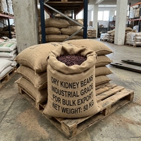 Haricots rouges séchés naturels de qualité industrielle, riches en protéines, triés, emballés, matériaux de première qualité, sûrs pour l'exportation