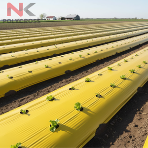 Rollo de Polietileno para Mulching Agrícola de Grado Profesional para Granjas Comerciales, Invernaderos y Viveros - Product Image 3