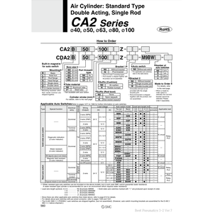 Modèle de cylindre pneumatique SMC CA2B50-250Z - Product Image 3