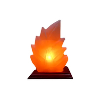 Lampe de sel de l'Himalaya de qualité supérieure, lampe de sel miniature naturelle de l'Himalaya avec base en bois pour la décoration de la pièce, sculptée à la main