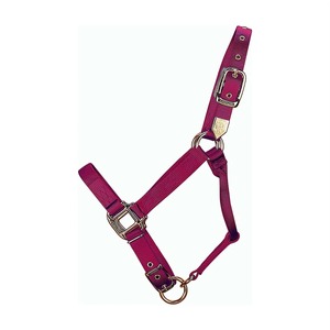 High Quality English Horse <b>Head</b> Collar Durable Comfortable Halter for Professional Daily <b>Training</b> Horse <b>Head</b> Collar OEM Service - Product Image 5