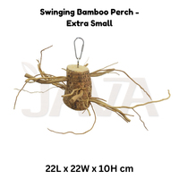 Perchoir à oiseaux en racine de bambou de haute qualité, naturel, écologique, durable et robuste, provenant d'Indonésie XS