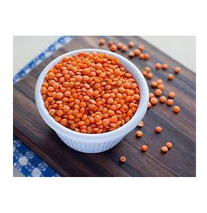 Lentejas Rojas Naturales Desgranadas, Masoor Dal, Origen Telangana, Vida Útil de 12 a 18 Meses, Empaque a Granel, Exportación de Alimentos, Saanvisha Global - Product Image 4
