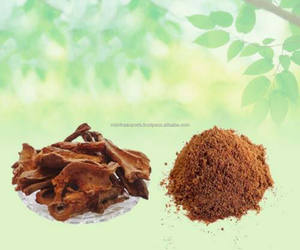 Tecomella Undulata Rohida Powder Rohira Powder Ragat Rohida Powder Rohitak Raw Herbs Venta al por mayor Extracto de plantas Producto a base de hierbas - Product Image 3