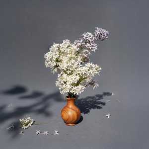 Vase en bois artisanal pas cher avec finition naturelle lisse pour la table basse, l'entrée et la décoration de la salle à manger par AALIYAN IMPEX - Product Image 2