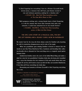 A Dark Forgetting : Édition brochée – 15 mai 2026 par Kristen Ciccarelli (Vente en gros) - Product Image 2